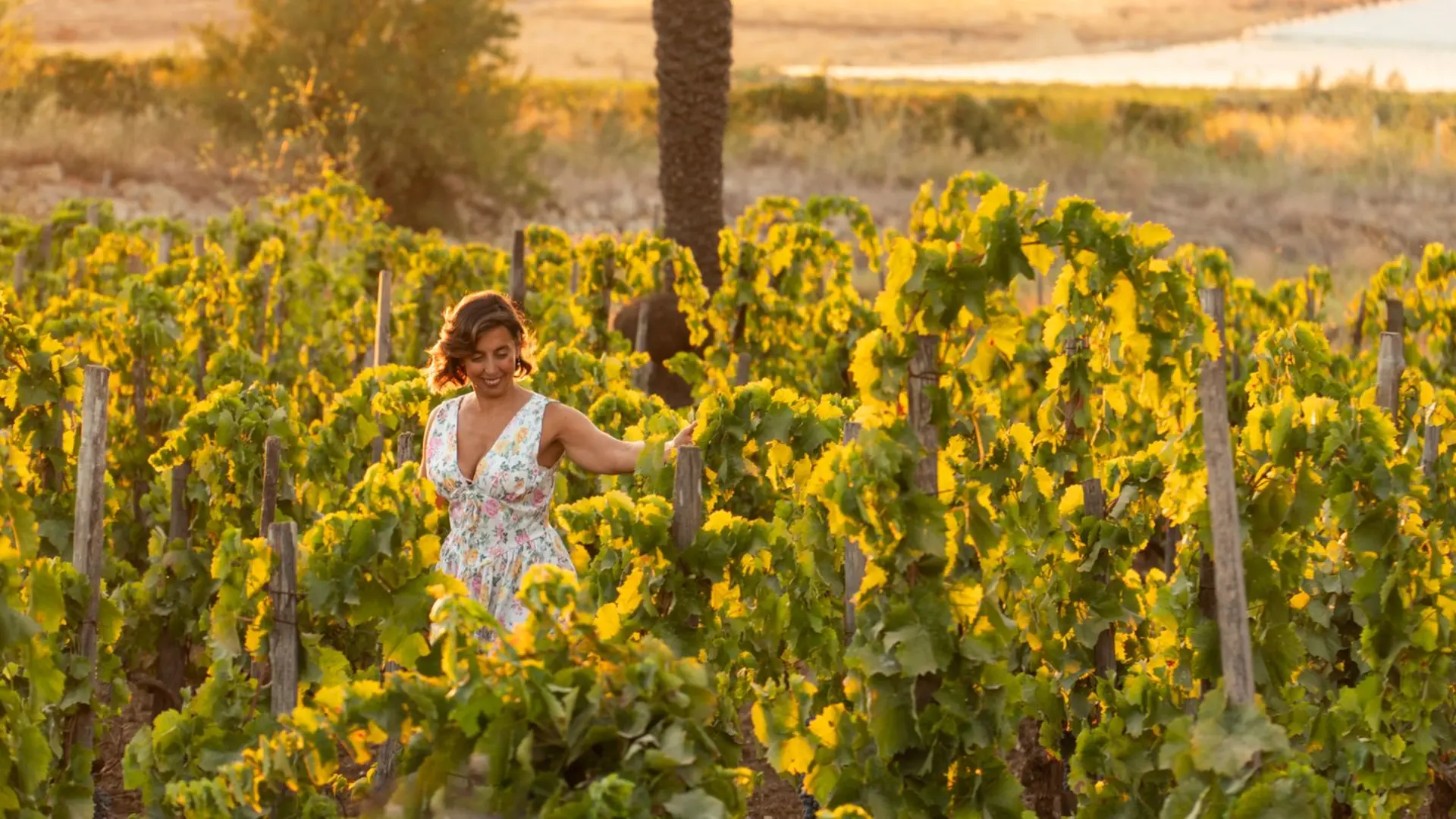 LUGLIO TRA MARE E VIGNE